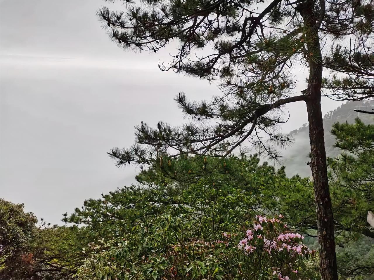 人生如旅行，我们都是时间的过客，走过水一程，看过四季风景！

一年又一年，慢慢懂