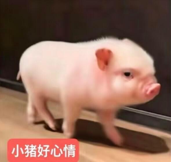 今天是最早洗完澡躺在床上敷着面膜的一天 好舒服啊 