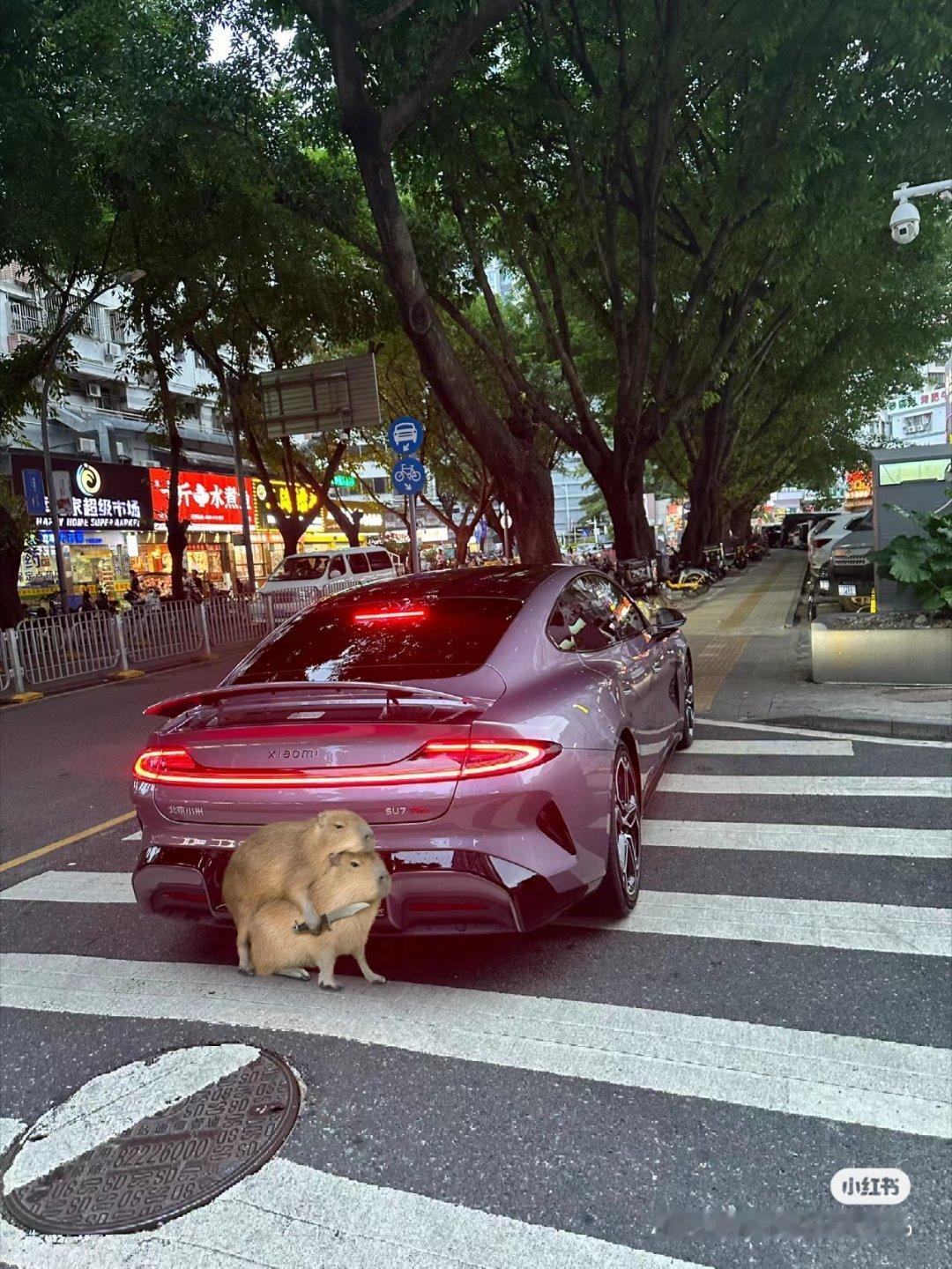 #小米su7[超话]#的确是很好看的车 ​​​