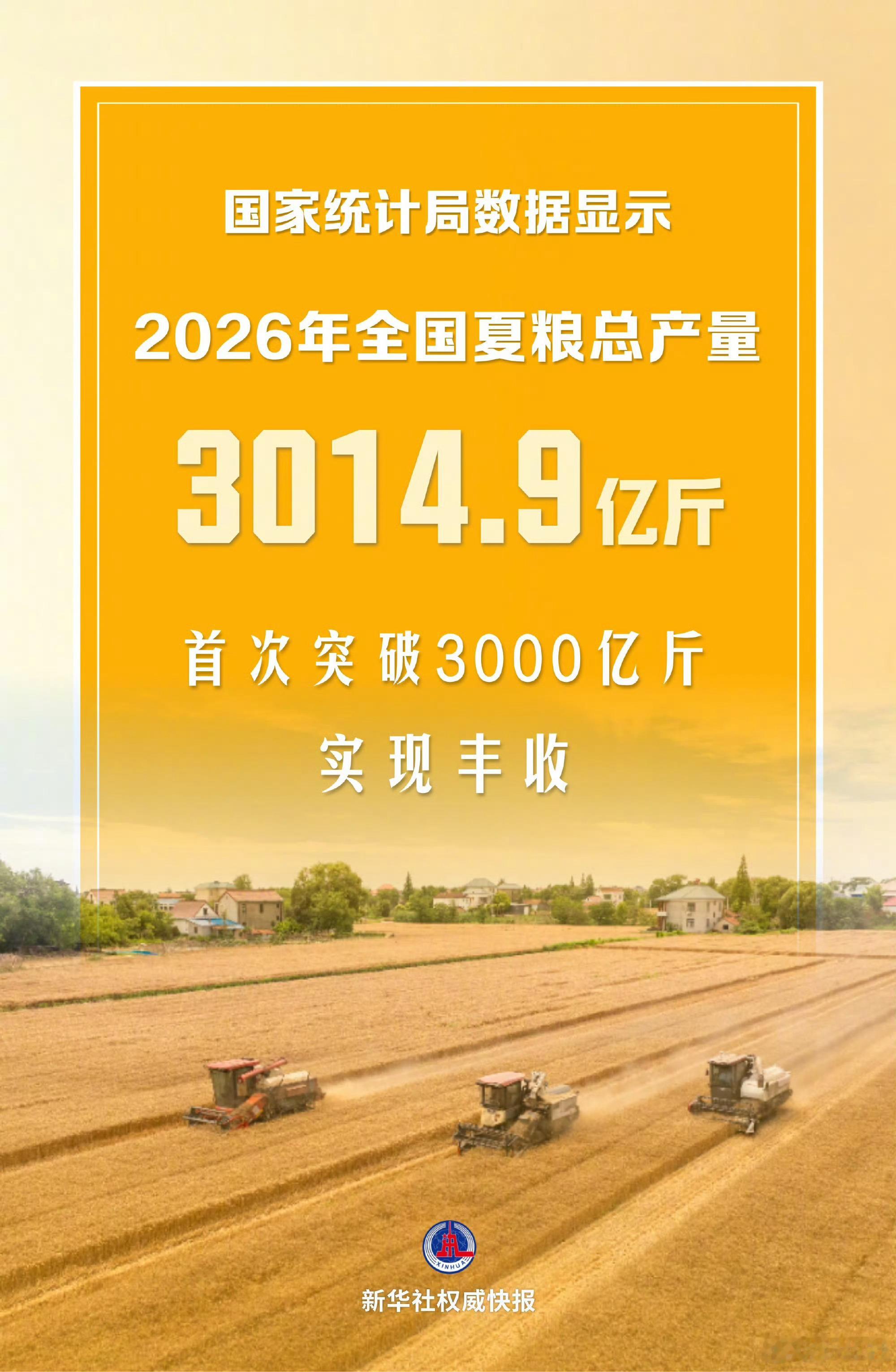 全国夏粮获丰收历经气候难题，终迎颗粒满仓✨2026夏粮总产量首次突破3000亿斤