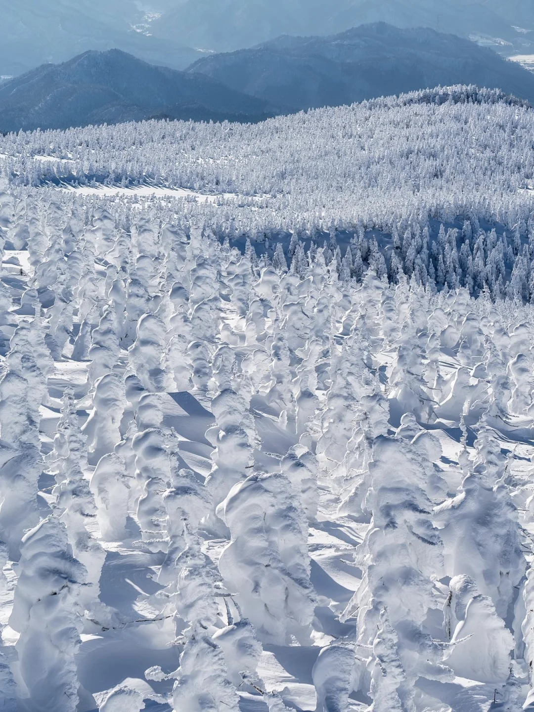 🇯🇵日本的白色秘境·山形藏王温泉滑雪场