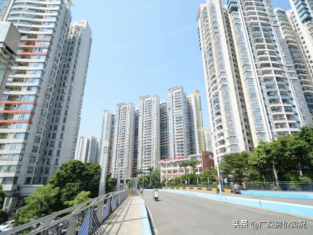 从390万到233万，白云罗冲围标杆富力桃园也跌麻了

富力桃园，白云罗冲围增槎