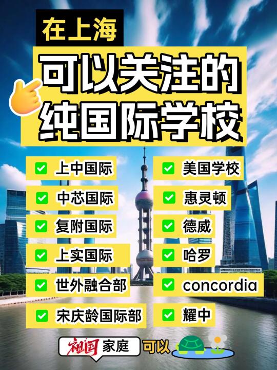 纯国际学校中国籍有机会入读吗❓