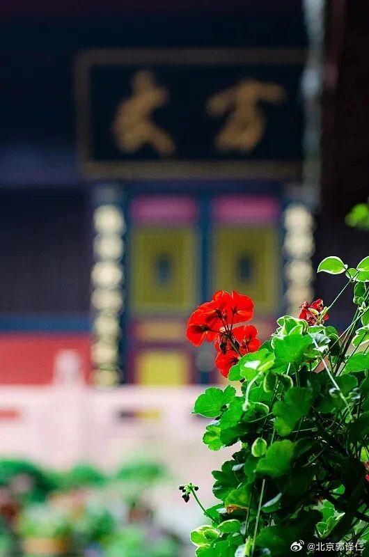 学会淡然，不要让心随着得与失起起伏伏，人生真正的“得”，是得到一份坦然，一份从容