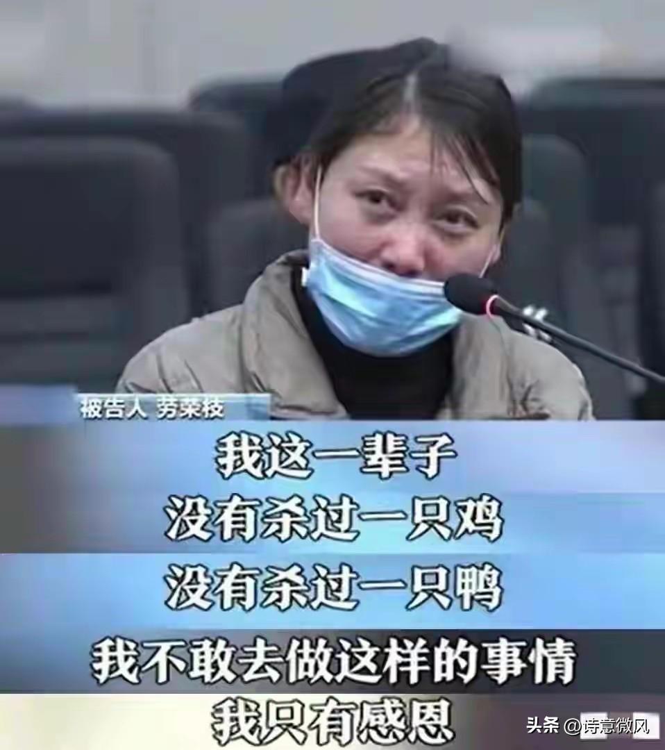 劳荣枝逃亡路上的两段感情：不缺钱不出门，生活精致，但不敢结婚
 
劳荣枝原本是江