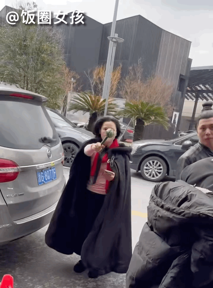 #何赛飞怒斥代拍#网友锐评何赛飞：手里拿的是巴拉拉魔仙棒吗？？？不过代拍确实挺烦