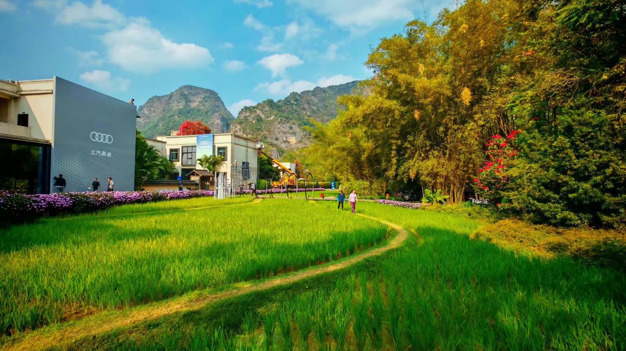 💐繁花与青山对坐，风从稻田里衔来整座山的呼吸。
☀️蓝天泼了一捧蓝在山尖，稻田