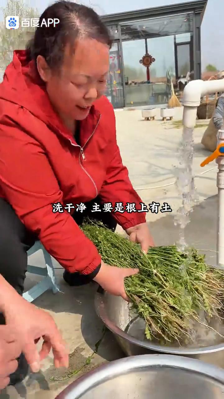 二哥这样做的荠菜煮鸡蛋，三月三传统做法。
家人们好，三月三荠菜赛仙丹，用荠菜煮鸡