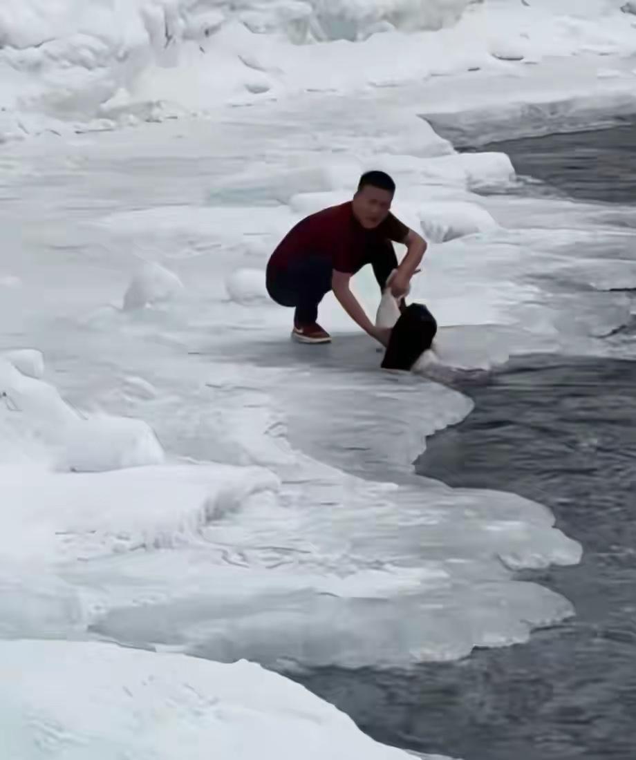 “多管闲事”新疆男子从冰冷河水中救人，竟遭陌生网友持续辱骂骚扰，当事人发声

据