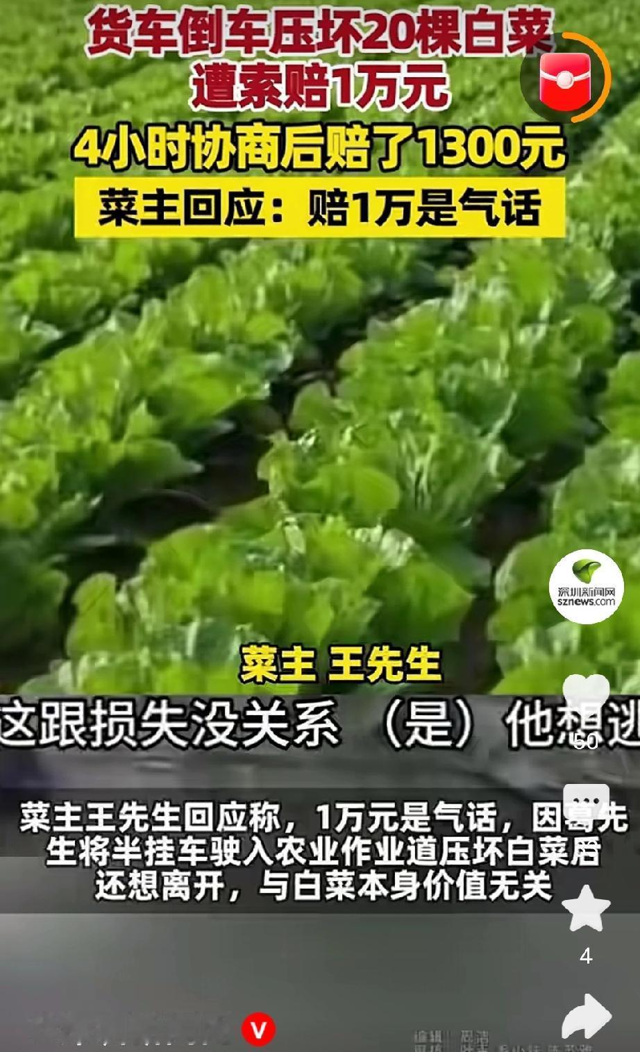 辽宁辽阳，货车司机葛先生卸货掉头，把菜地里20多棵白菜压坏，菜主王先生张口索赔一