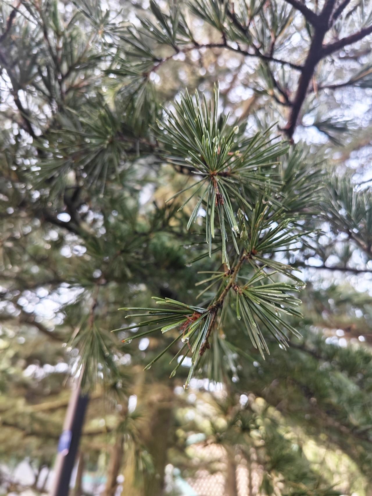 再就是，以前高考成功上岸的大学生，毕业以后都是包分配的，如今大学毕业以后是要自己