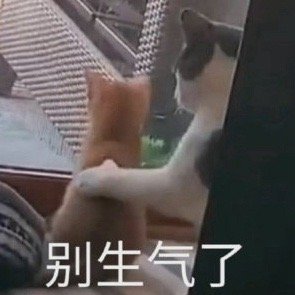 #褚会长称990万已支付完成# 流量被你们玩明白了。故意来这么一出拨人心弦的戏剧