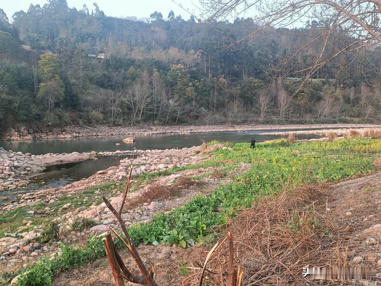 秸秆禁烧政策对农村经济的影响具有显著的双重效应：短期看，它增加了小农户的生产成本