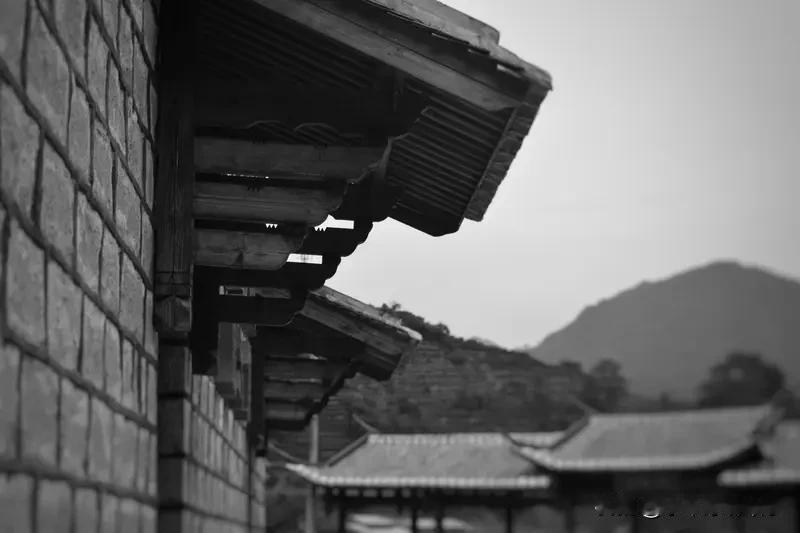 助你成就理想中的自己
先把注意力放回自身，少管他人之事。外界评价听过就好，别放心