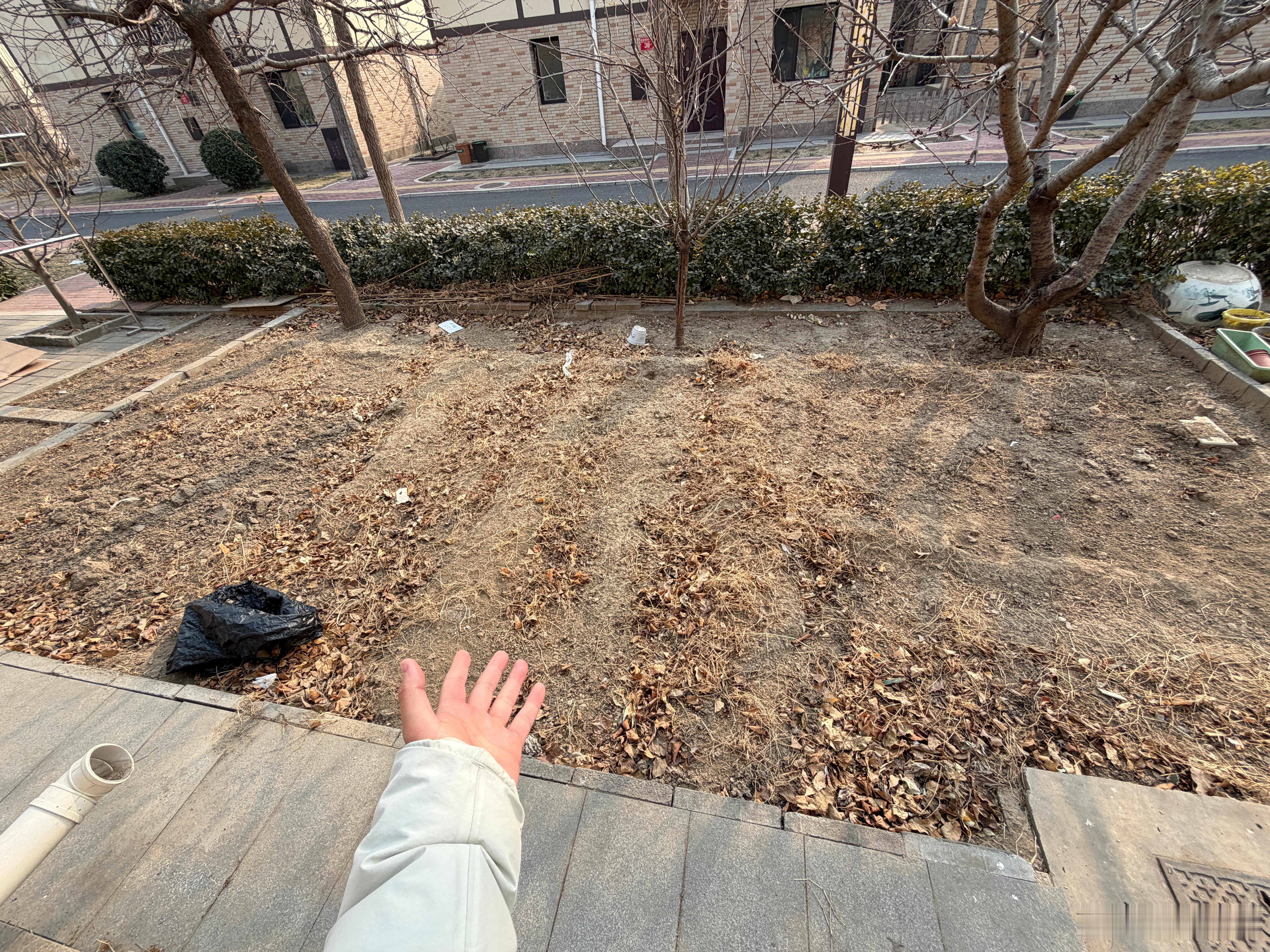 这一小片地，能干点啥呢 