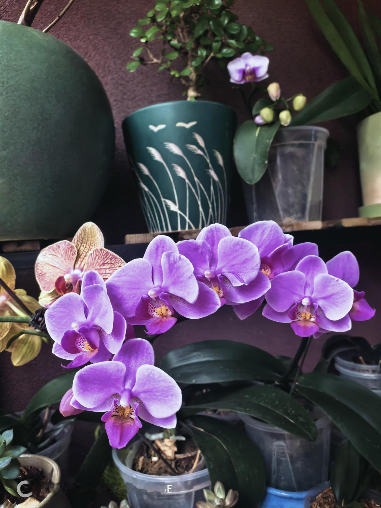 我每月5200元退休金，够用吗？那算一算一笔账，以我一个人住一个人用来算家庭开支