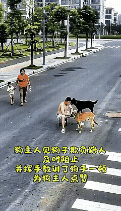 女人带着孩子街上溜达，一条黄狗张着大嘴从男主人旁边溜走直奔小孩，女孩赶忙让小孩躲