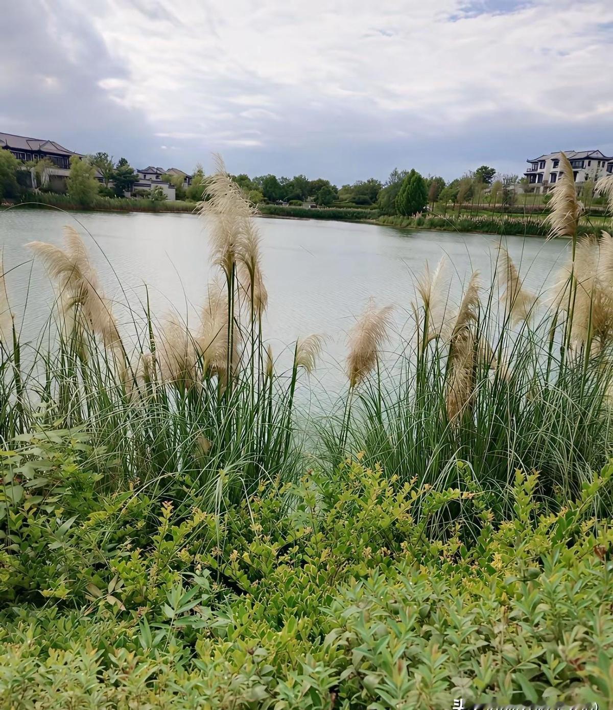 上班不是为梦想，是为不被生活踢出局。
早八晚九，老板不提加班，你敢走？
工资没涨