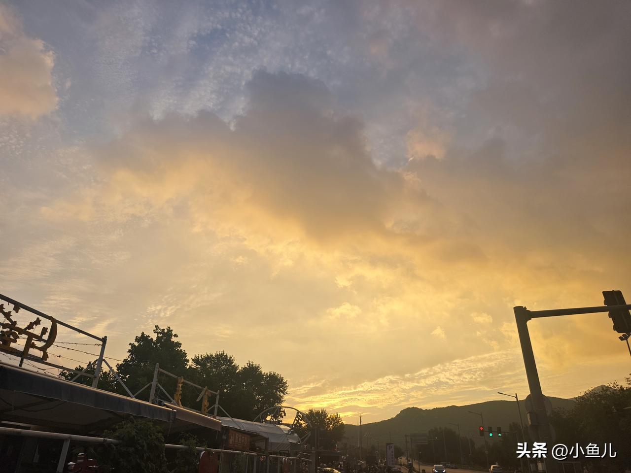 亲，难得下班早一次，傍晚走在街边，刚好撞上温柔落日。

暖黄霞光铺满整条街道，行