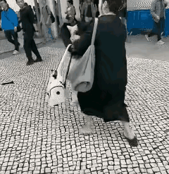 大街上，不知道什么原因，两个女子打了起来。只见一个年龄大点的女子，抓住年轻女子的