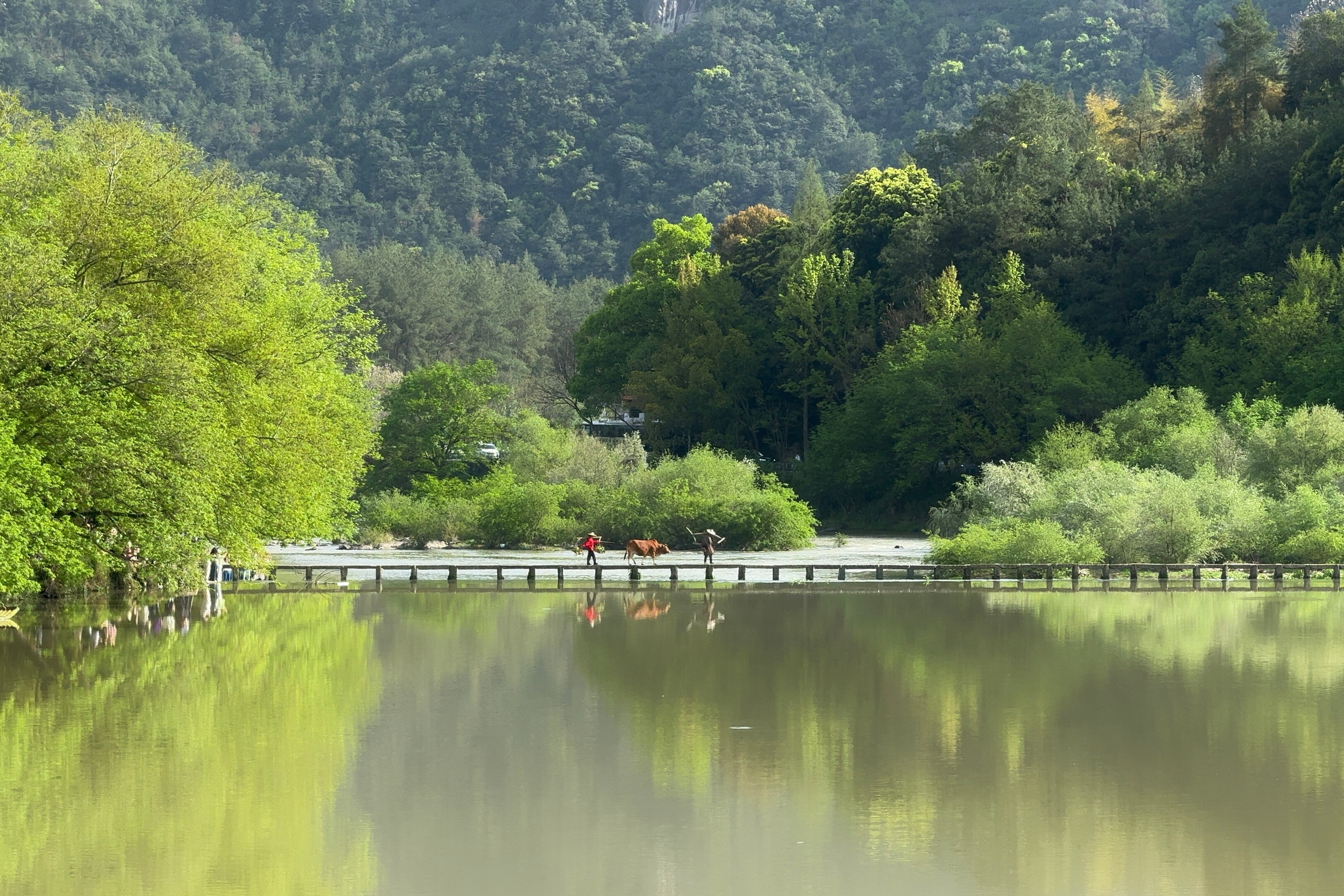假期第二天来仙剑奇侠传一的取景地🍃本来想打卡赵灵儿同款机位但是我们太磨叽了来不