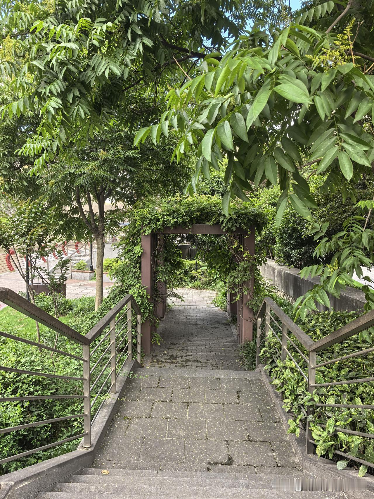 晚饭前，爷爷奶奶带着宝宝漫步杨树浦港滨河步道。
沿岸好不热闹：有一家老小围坐闲谈
