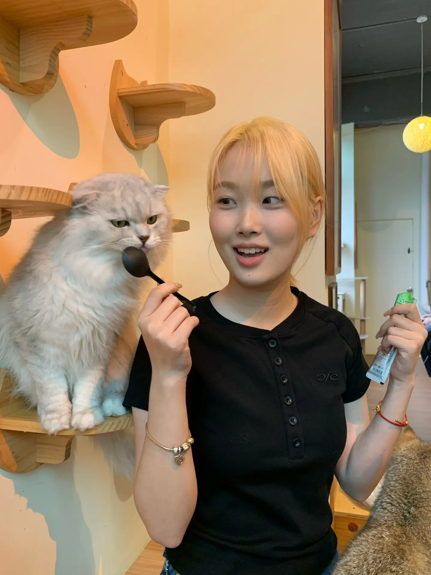终于摸到真猫猫了😿。天天在抖鹰上刷猫猫吃饭 这次终于是可以摸到猫猫们...