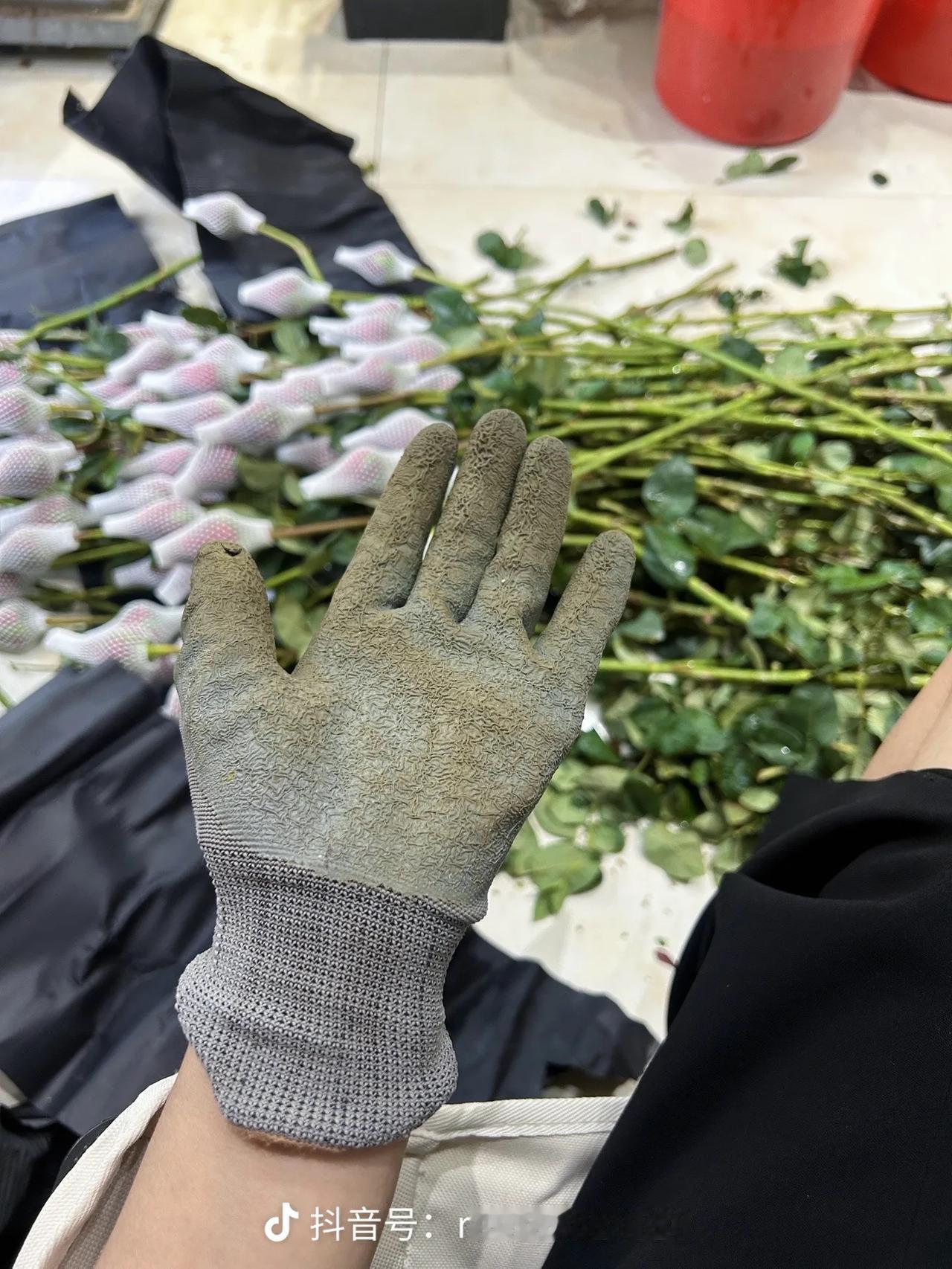 你只要敢乱七八糟的开始，就能七七八八的成功！准备久了，就会被内心的恐惧吓退！
刚