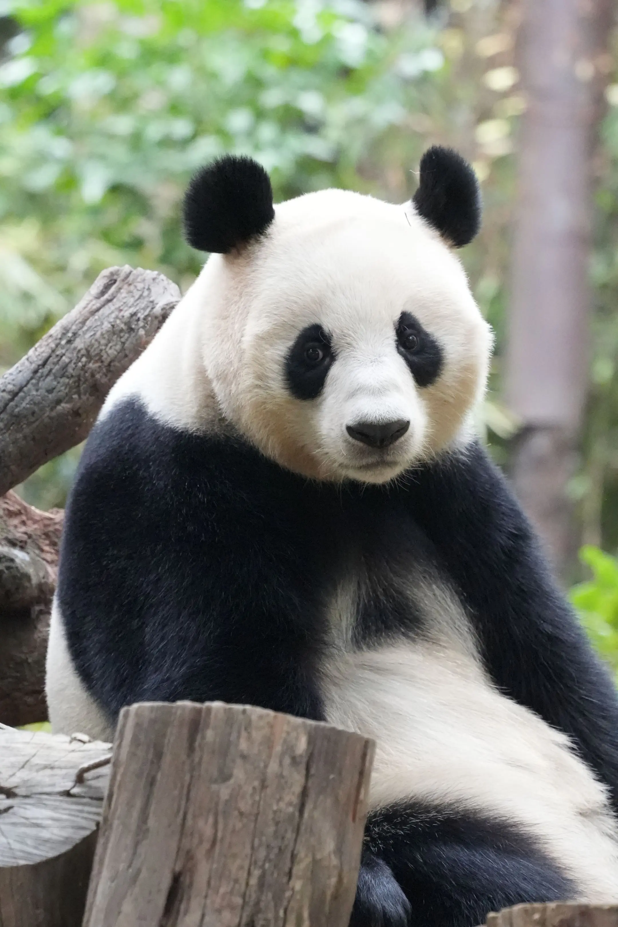 国庆:呐，影好d啊~