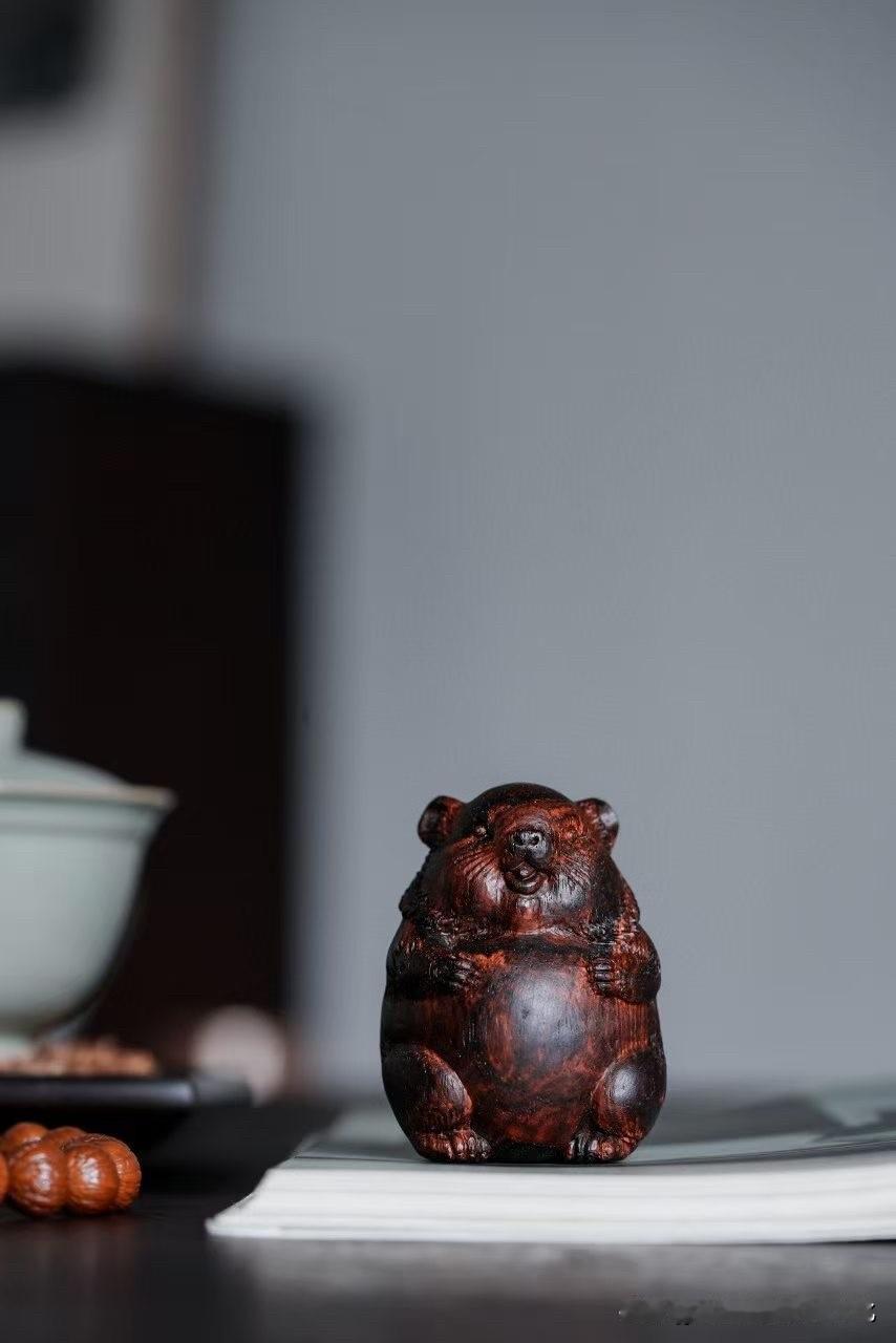 海黄萌趣土拨鼠｜一木生趣，掌间治愈✨

谁能拒绝一只憨乎乎的海黄小萌宠～

甄选