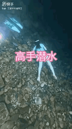 不来一次深潜，怎么对得起这个夏天