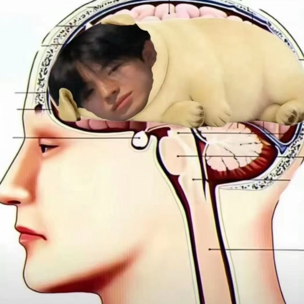 肥狗…肥狗 