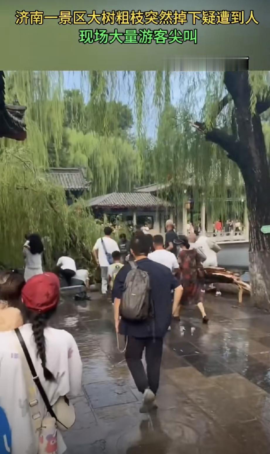 在景区内部出现这样的事确实不应该！相对路边的树木，景区里的树木维护人员更多，检查