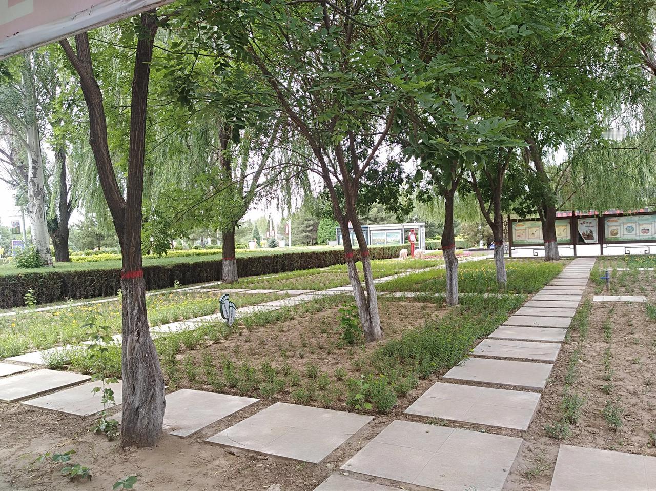 读《毛选》《中国革命战争的战略问题》，里面有个观点特别戳我——与其失之过迟，不如