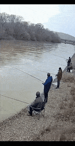 如果这是真的，谁不天天去捡鱼[捂脸]