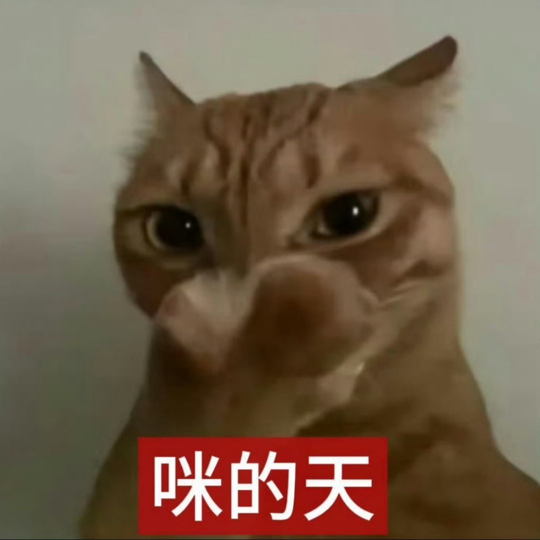 感觉大家这一对咋磕的人心黄黄的到处在法 