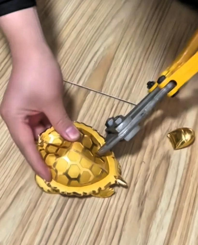 福州的王先生过六十大寿时，三个女婿合伙送了一只375克重的金钱龟，作为祝寿礼物。