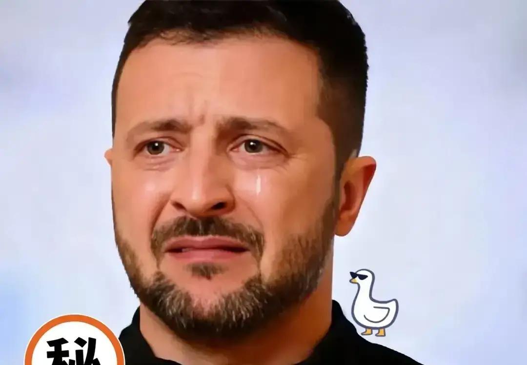 快讯！快讯乌克兰正式宣告了！泽连斯基宣布进入合作框架正式阶段，这对乌克兰意义重大