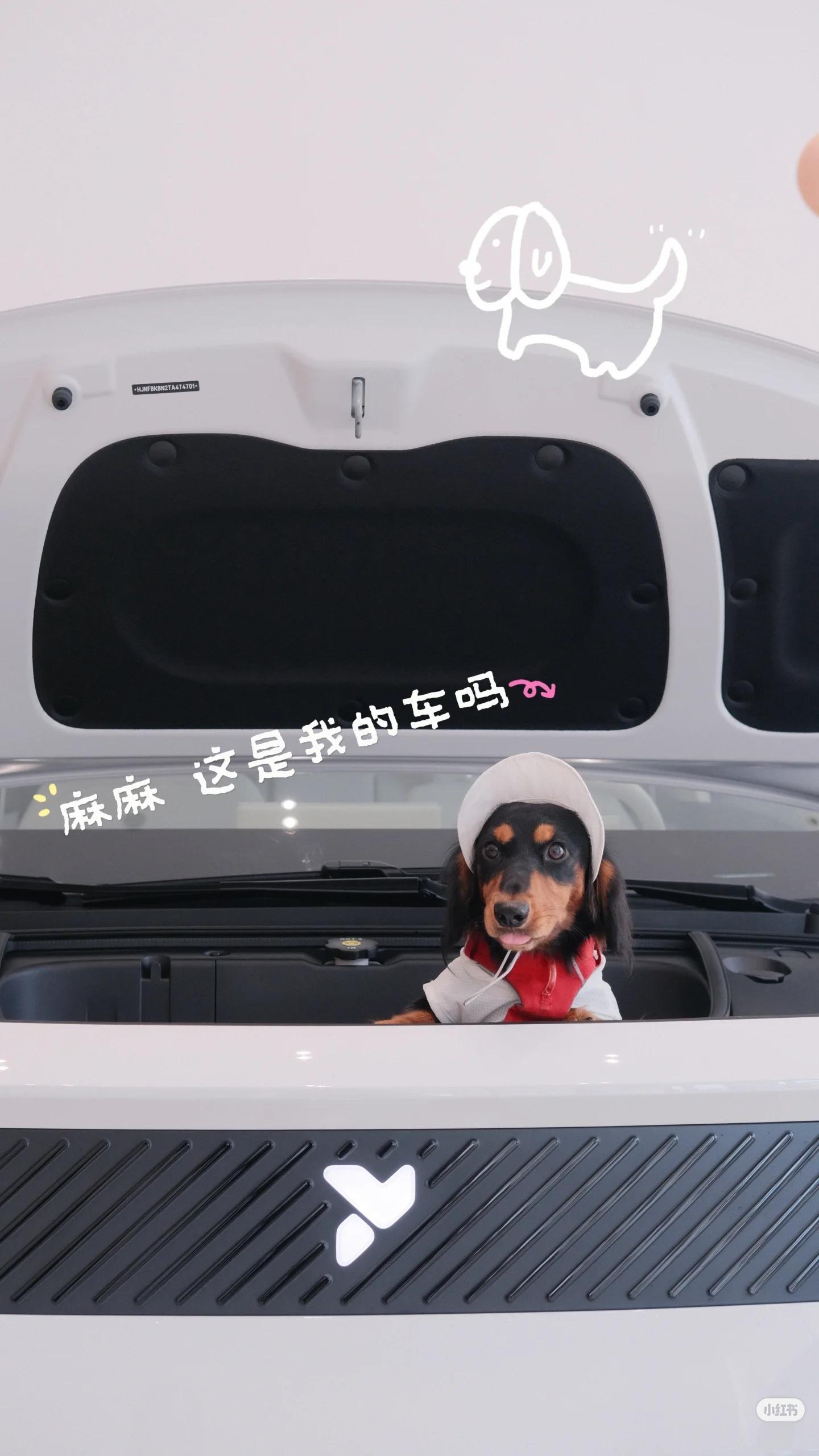 恭喜这位女士喜提小虫子第一次见面看你不太顺眼，谁知道后来关系那么密切～我为nio