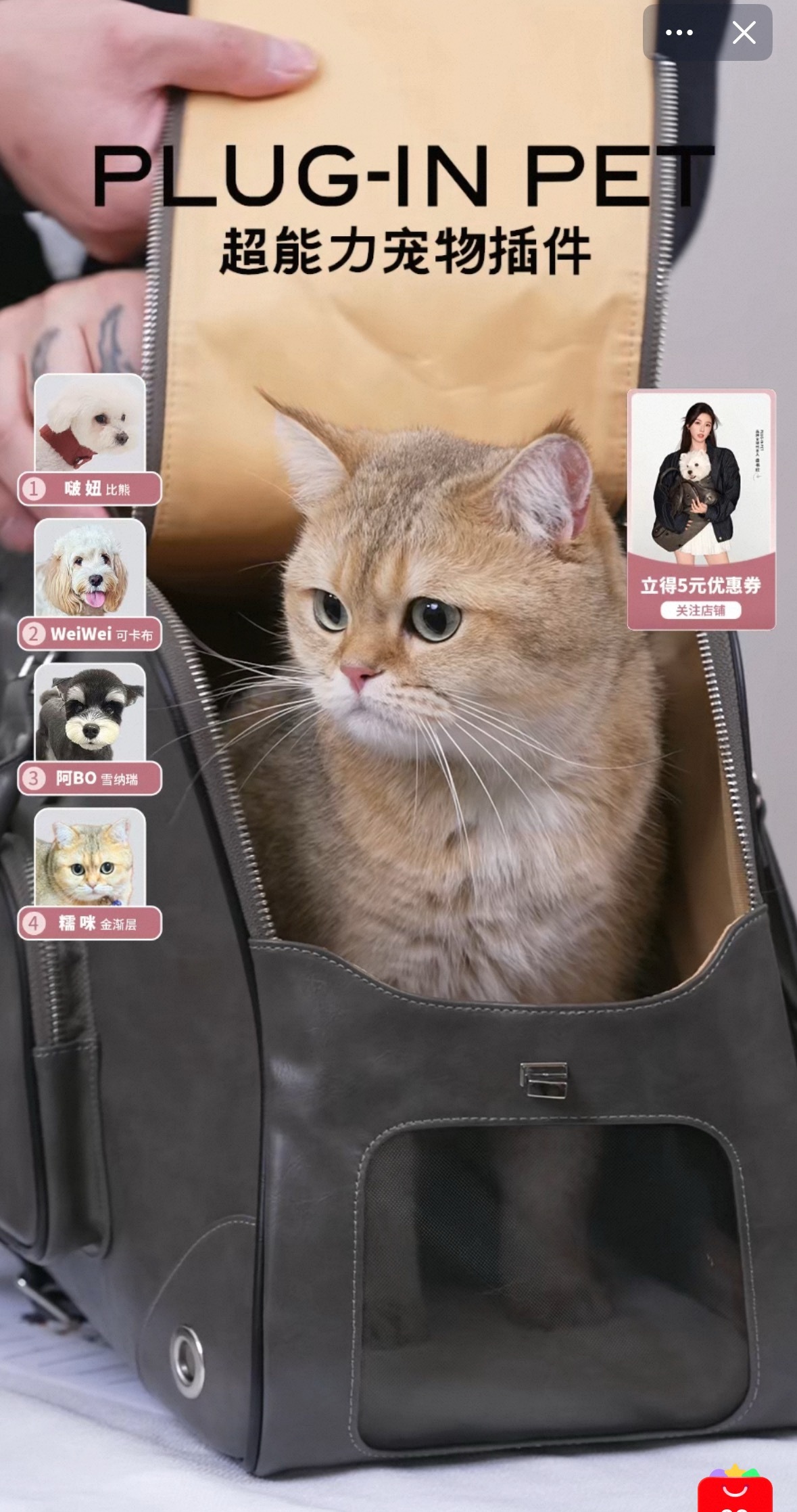 我家喜茶没这么乖 一下就弹射起飞了、 ​​​