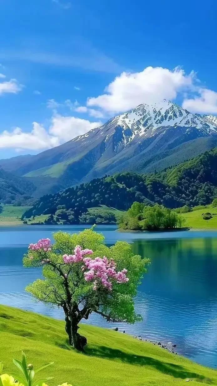 #秋日生活打卡季#