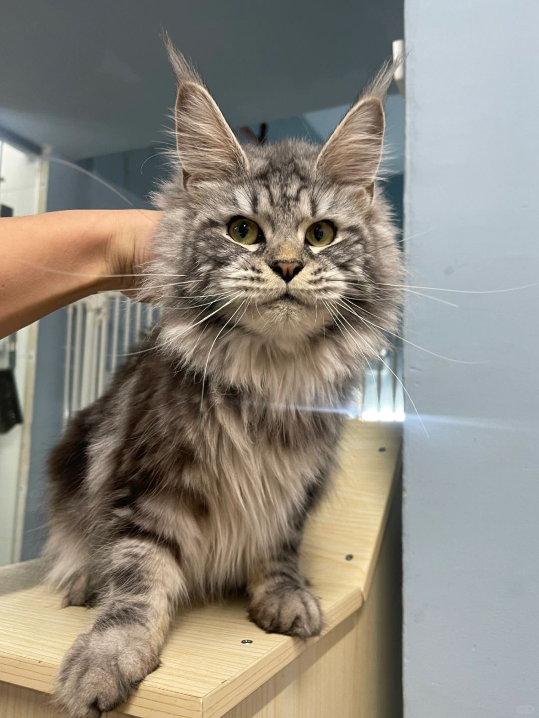 缅因｜我在等你带我回家呐！