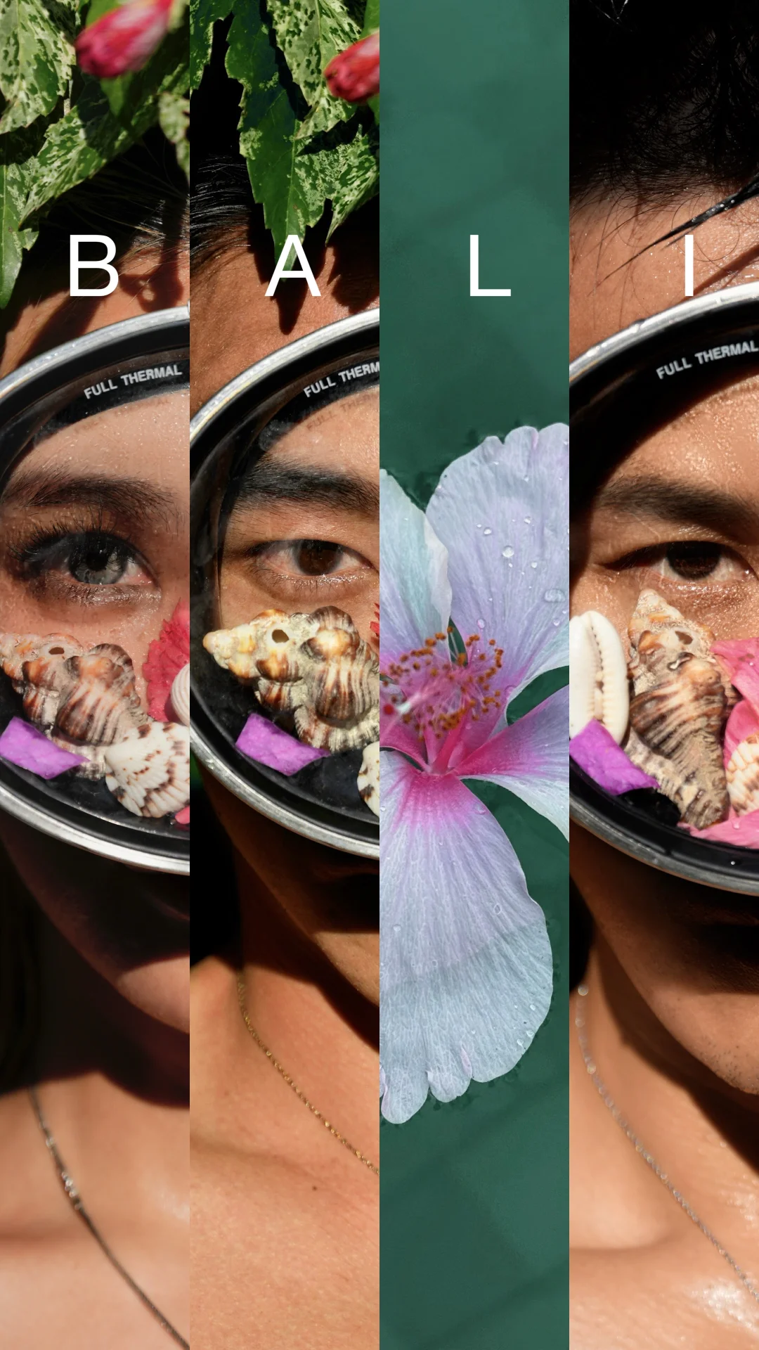 你可以永远相信我们的审美🌸🐚