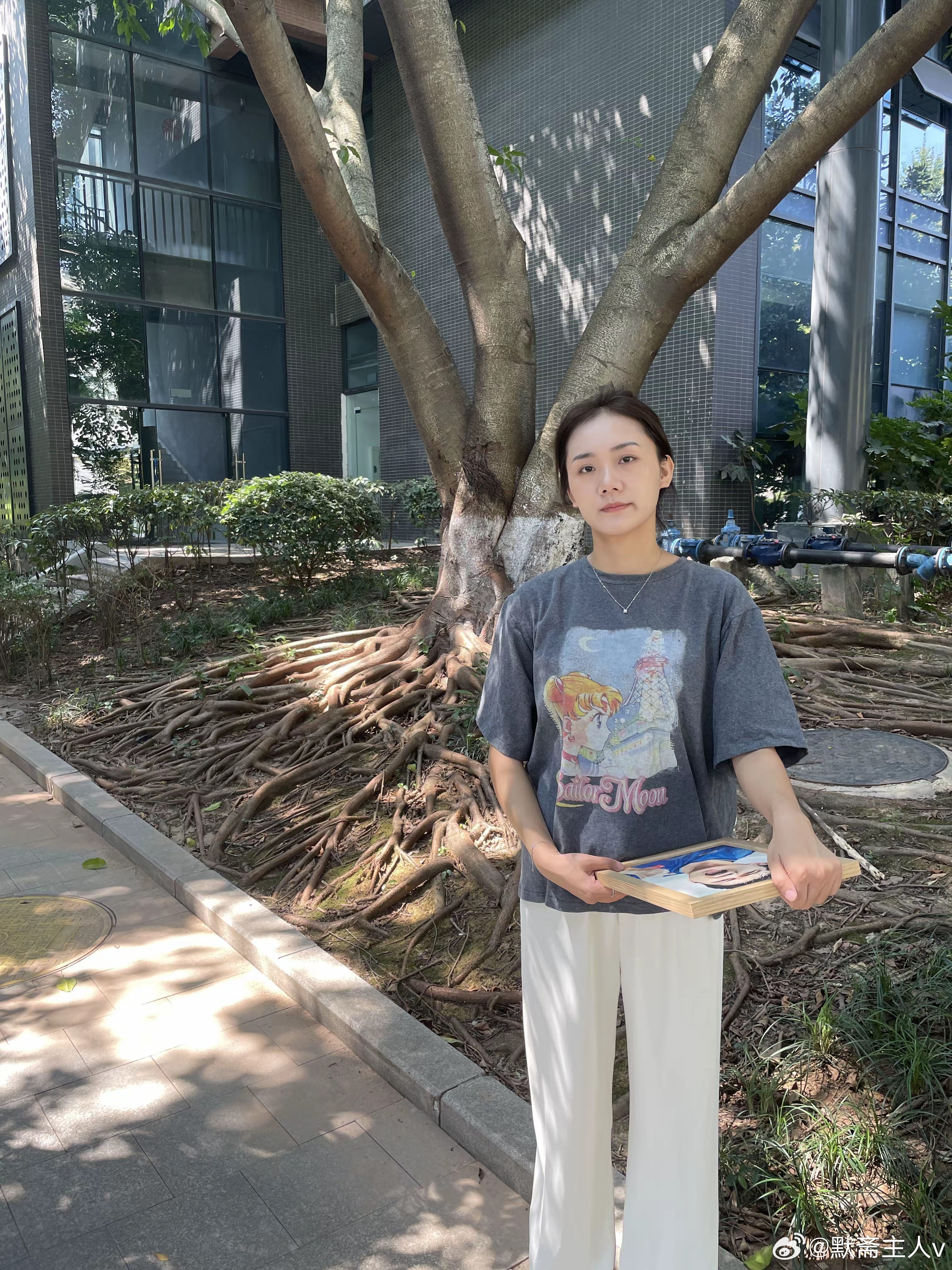 山尘赋·默斋主人原创骈赋尝观世人格局与资财之辨，恰若崇山之于微尘。格局者，胸底之