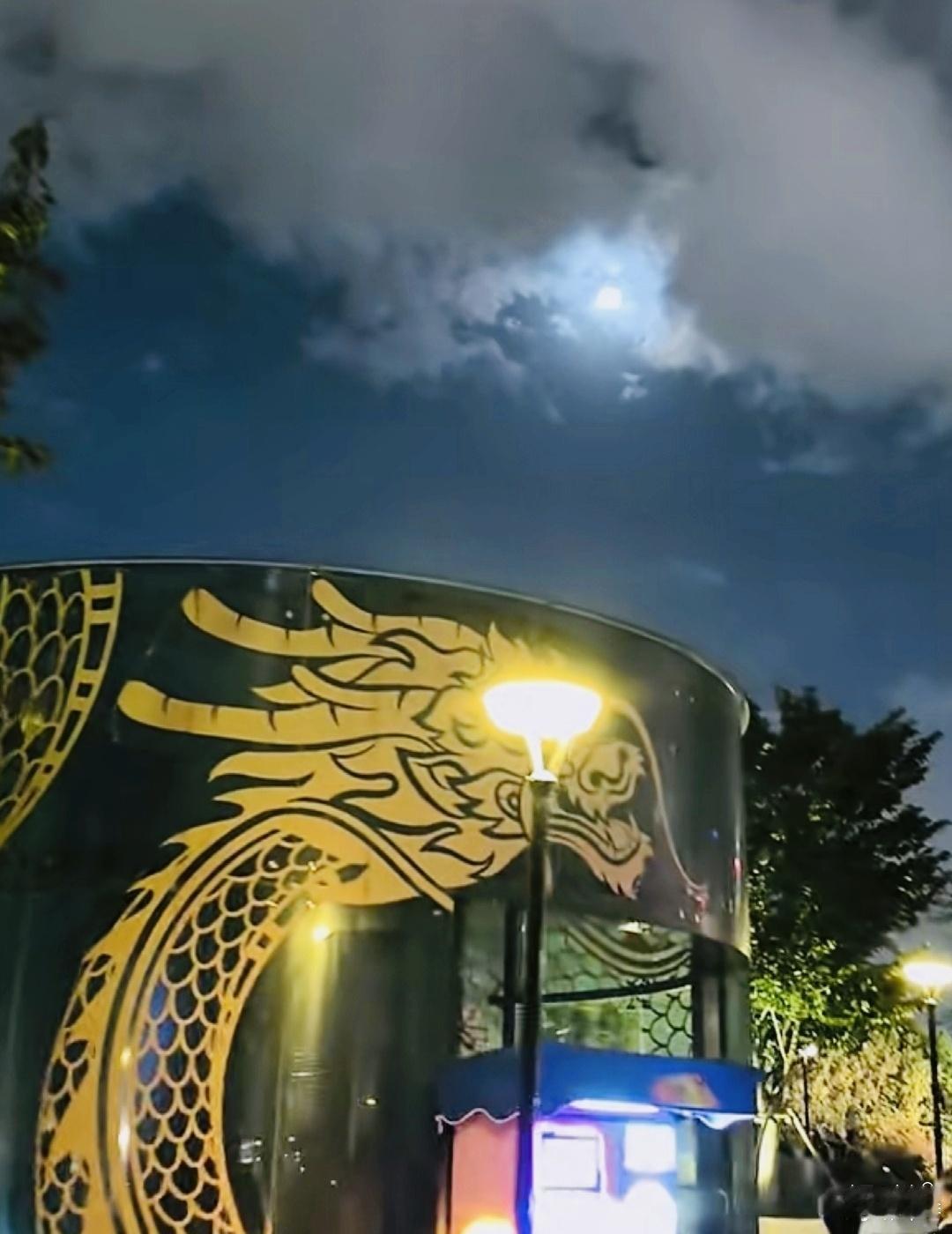 大雾黄色預警 重度℃污染🌫🌫🌫⚠️⚠️⚠️ 绿洲