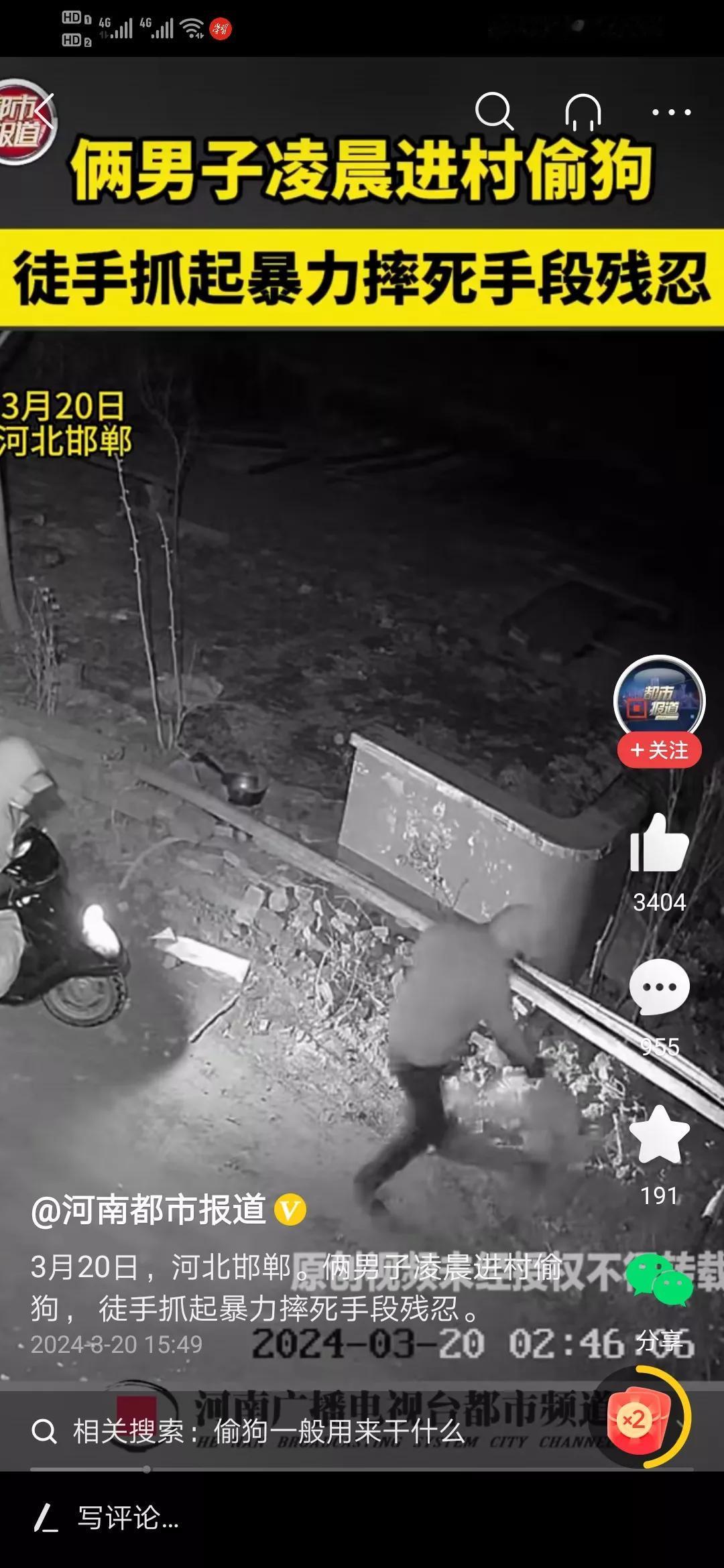 又是邯郸，3月20日，俩男子进村偷狗，徒手将狗摔死。残忍了！