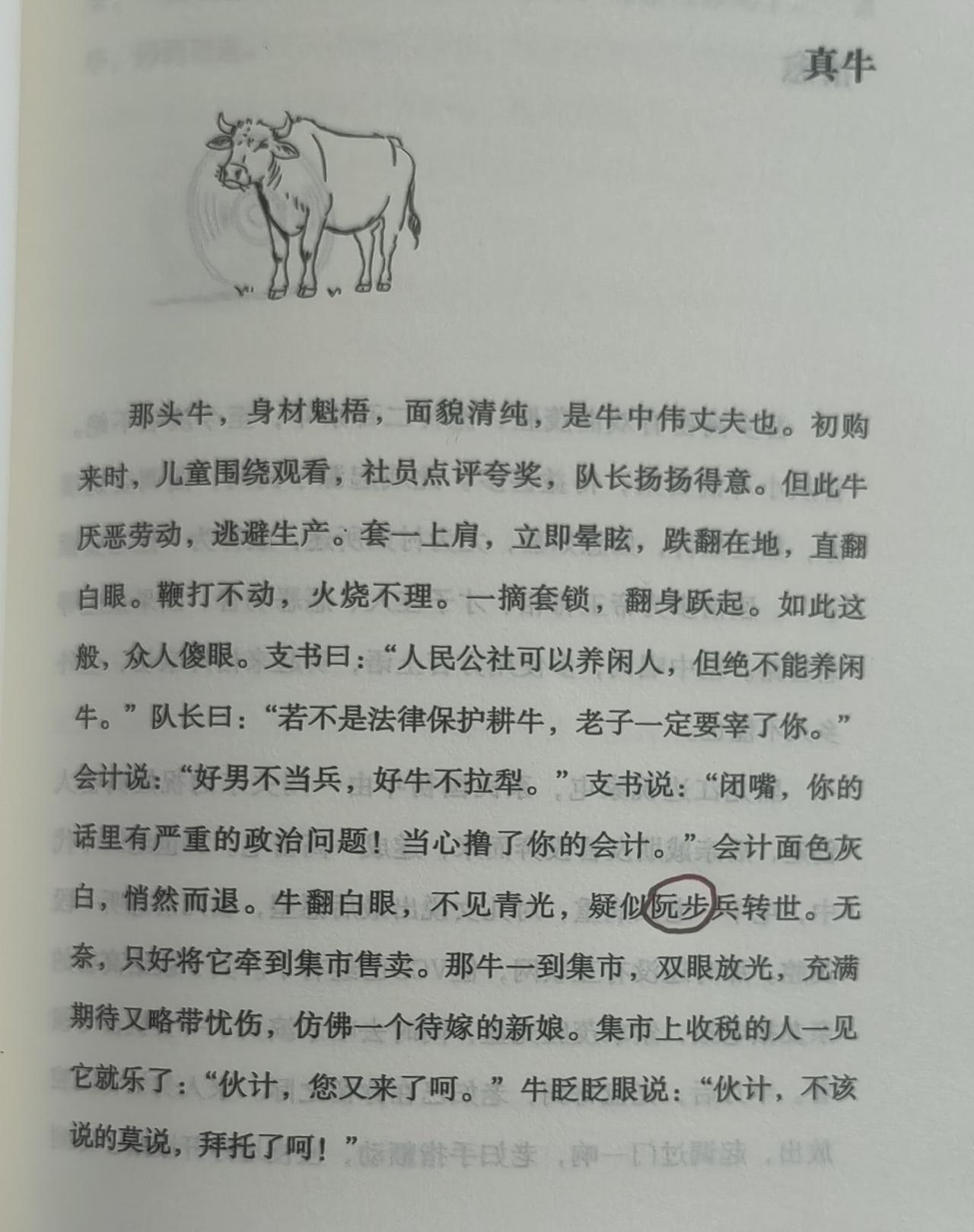 深谙生存之道牛！
读莫言的微小说《真牛》，为这头牛所折服：这头牛深谙生存之道，扛