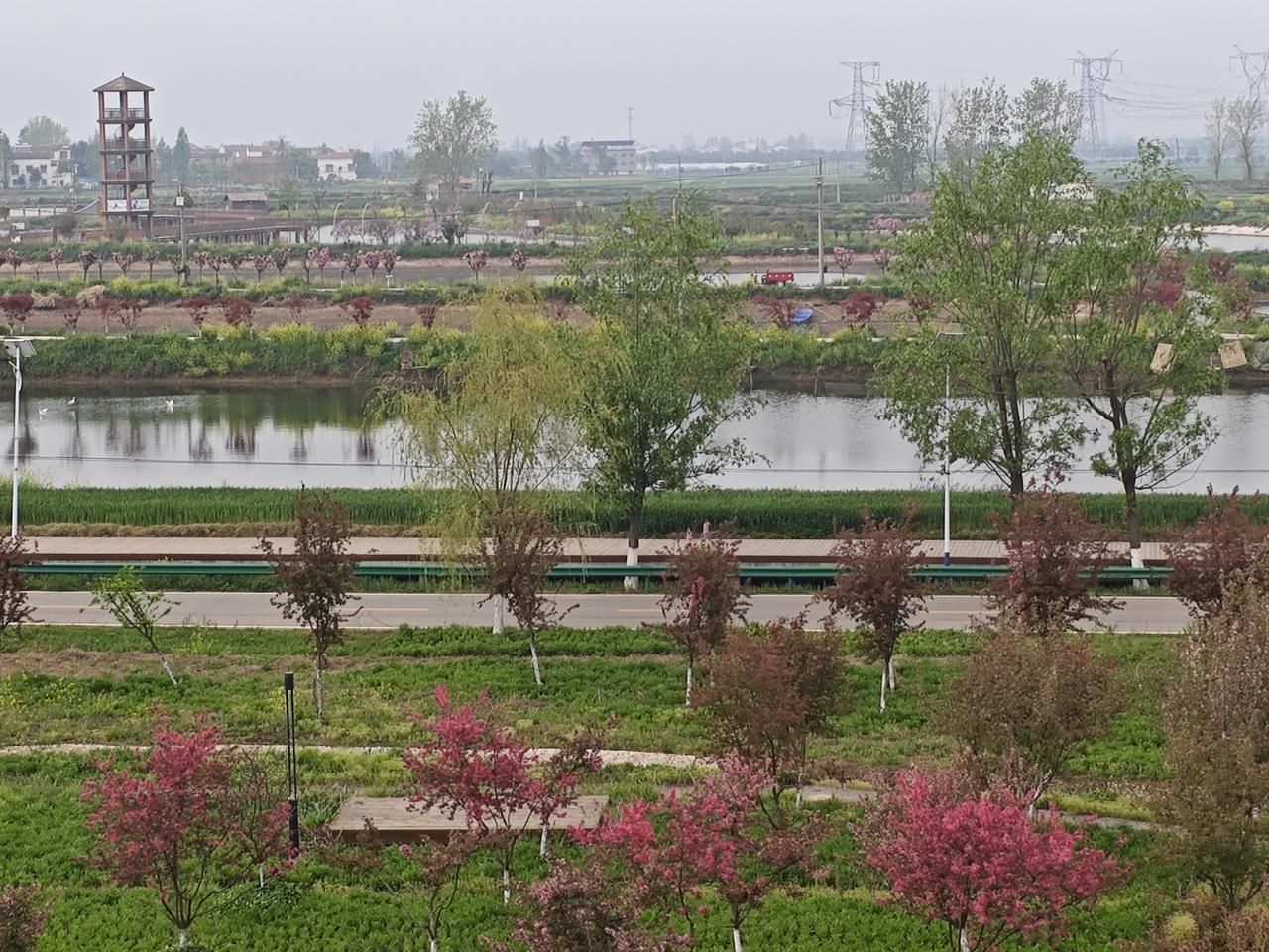 为什么一心扑在教学上的老师
往往在职称路上走得格外艰难
 
他们把时间都给了讲台