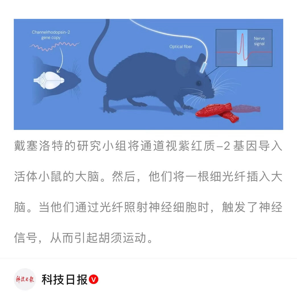 【 神经元有了“光控开关”！ —— 解读2026年诺贝尔生理学或医学奖 】　　（