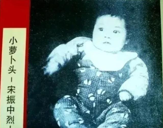 1949年，徐林侠倒在血泊中，看着特务杨进兴正准备对小萝卜头下手，便劝他停止犯罪
